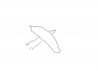 bird (dessin)