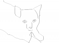 chat (dessin)