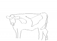 cow (dessin)