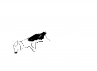 dog (dessin)
