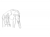 elephant (dessin)