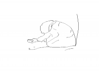 fille (dessin)