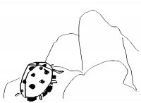 flore (dessin)