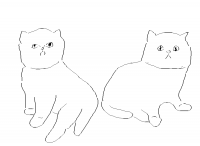 kitty (dessin)