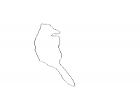oiseau (dessin)