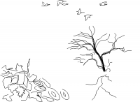 ouwwwpo (dessin)