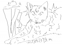 pecco (dessin)