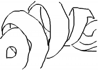 peel (dessin)
