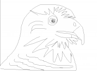 rapace (dessin)