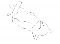 sleepingkitten (dessin)