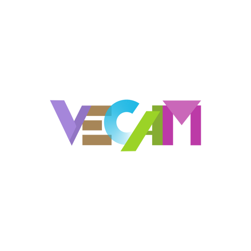 Logo VECAM (design : Nicolas Taffin)