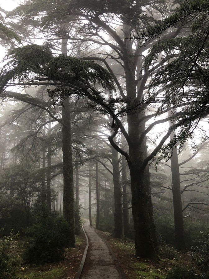 featuring roman graphite