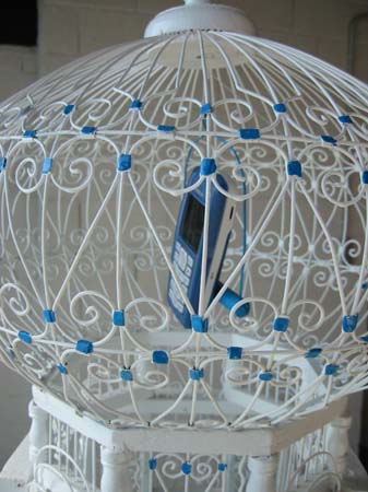 Bird cage with the mobile phone - 3